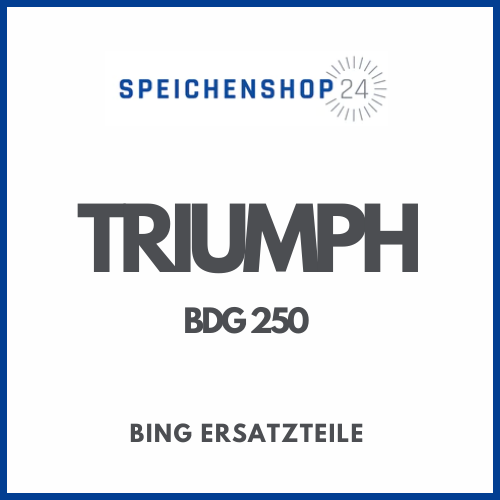 Originale Bing Ersatzteile für Triumph BDG 250 Vergaser