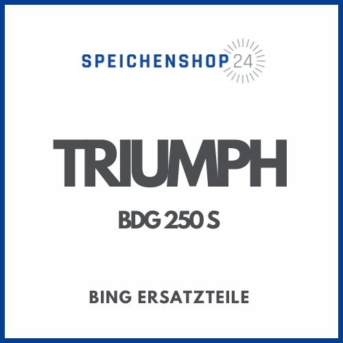 Originale Bing Ersatzteile für Triumph BDG 250 S Vergaser