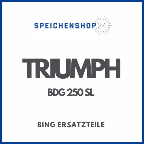 Originale Bing Ersatzteile für Triumph BDG 250 SL Vergaser