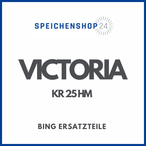 Originale Bing Ersatzteile für Victoria KR 25 HM Vergaser
