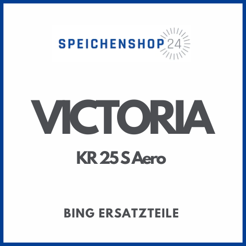 Originale Bing Ersatzteile für Victoria KR 25 S Aero Vergaser