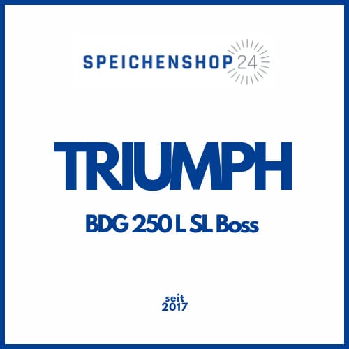 Speichen & Felgen Triumph BDG 250 L SL BOSS