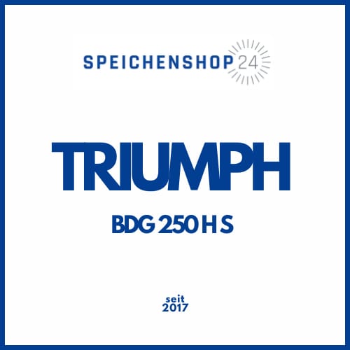 Speichen & Felgen Triumph BDG 250 H S